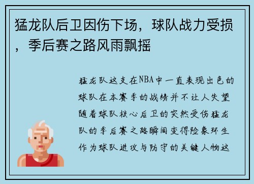 猛龙队后卫因伤下场，球队战力受损，季后赛之路风雨飘摇