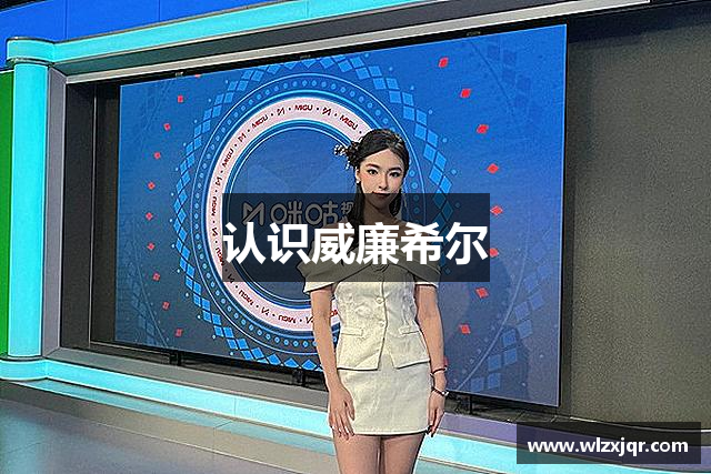 认识威廉希尔